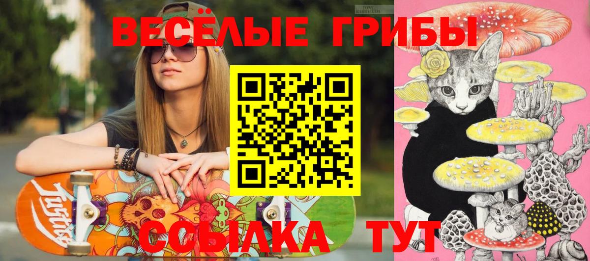 Туймазы  купить закладку  Вход с VPN  Галлюциногенные грибы прущие грибы  Галлюциногенные грибы MAGIC MUSHROOMS 