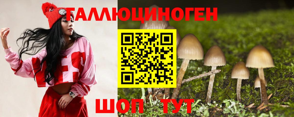 Псилоцибиновые грибы мицелий Туймазы